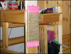 怎样避免猫咪抓沙发