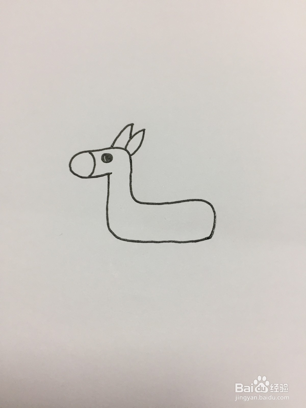 简单的画小毛驴