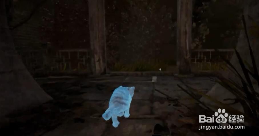 灵魂筹码——神婆