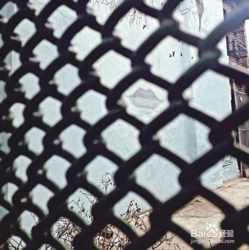 手机拍出好照片的10个秘诀