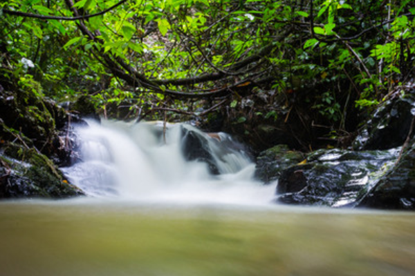 小溪淙淙怎么仿写顶针句
