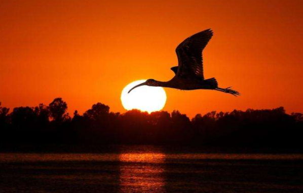 落霞与孤鹜齐飞比喻什么