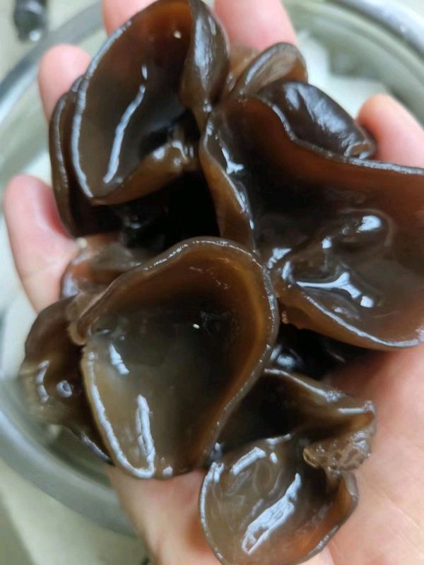 山药木耳排骨汤