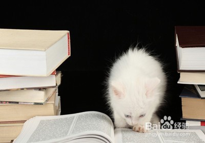 2017年中国地质大学行政管理考研经验