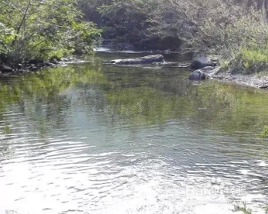 冬天钓鱼需要准备哪些东西