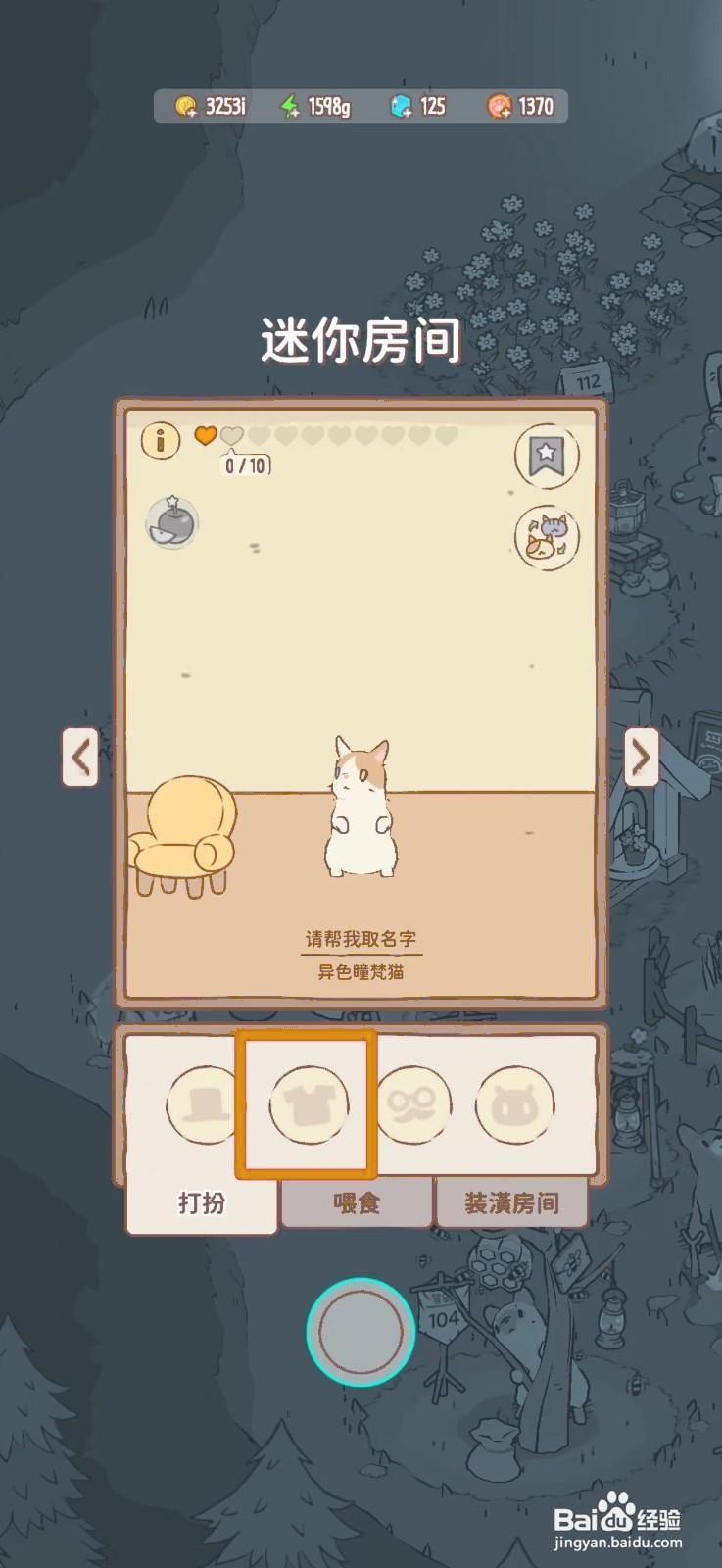 猫咪和汤怎么给猫咪穿观星者的衣服