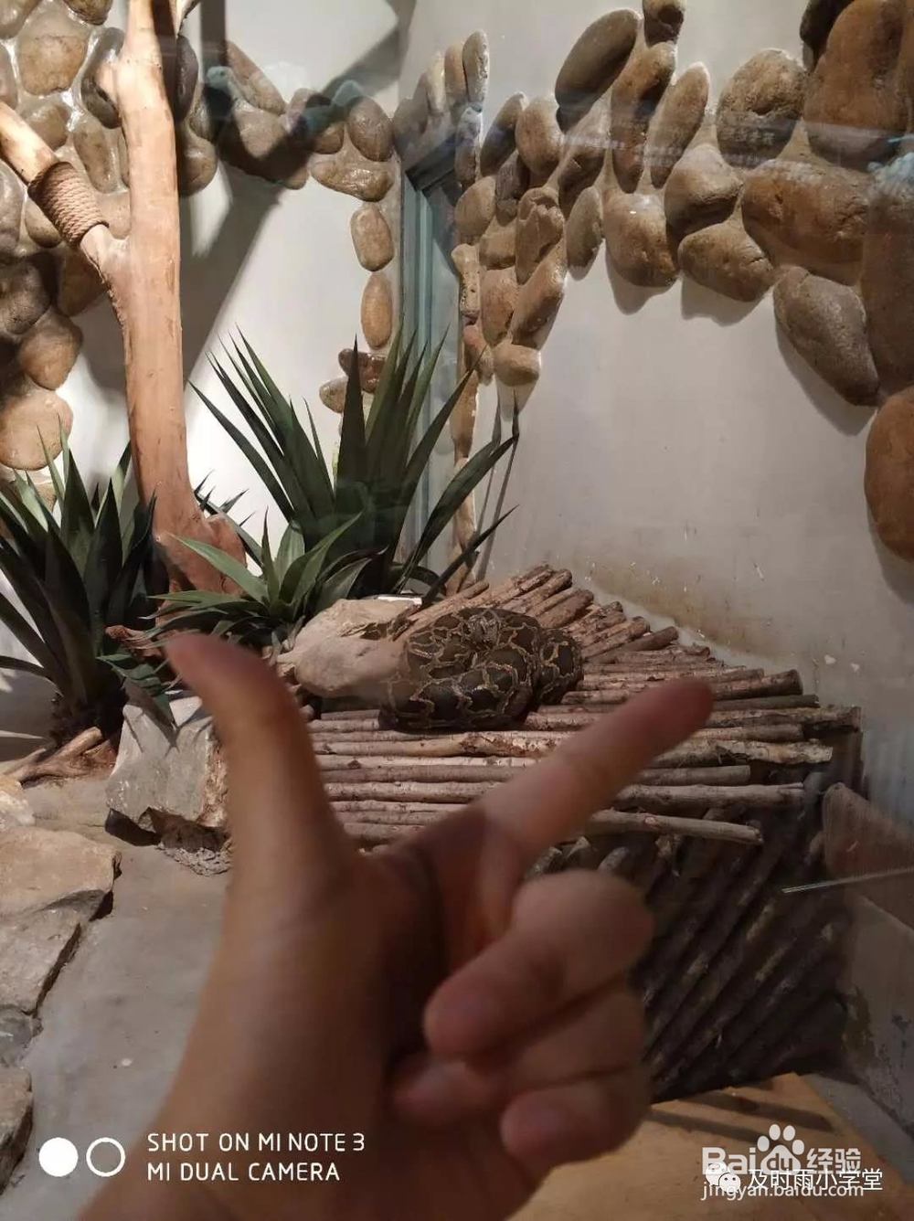 北京野生动物园一日游