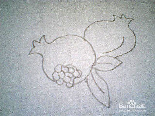 简笔画石榴的画法