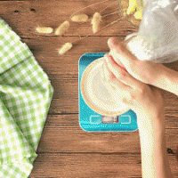 广东名小吃姜撞奶