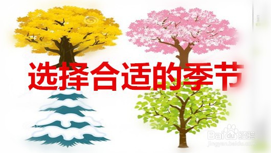 如何断奶不涨奶不得乳腺炎？