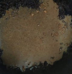 茶叶鹧鸪蛋的做法