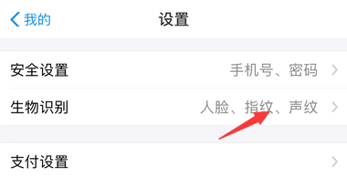 支付宝到店刷脸支付怎么关闭