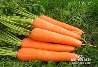 跑一场马拉松，你需要注意什么？