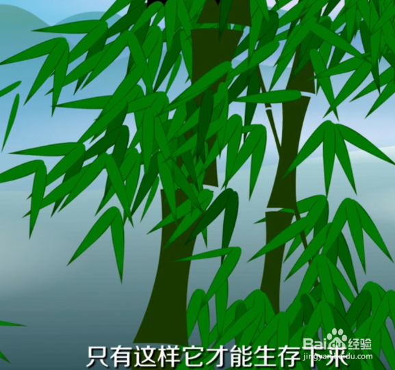 蝙蝠飞到家里怎么驱赶