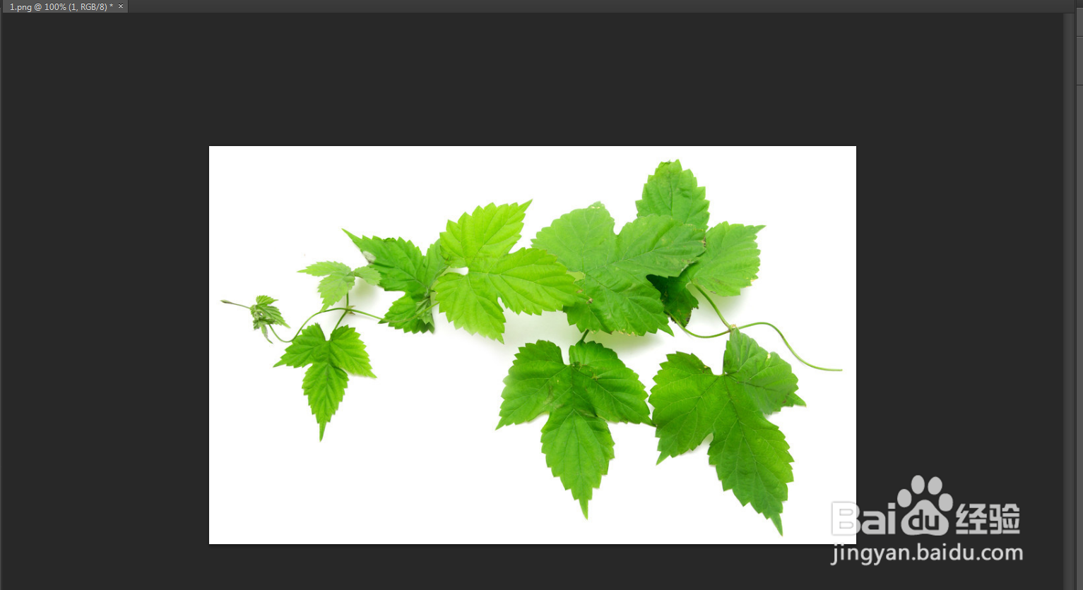 PS怎么运用变化来调整图像