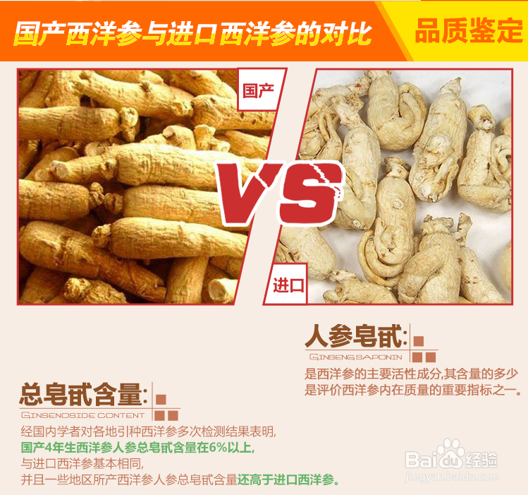 西洋参片怎么吃？