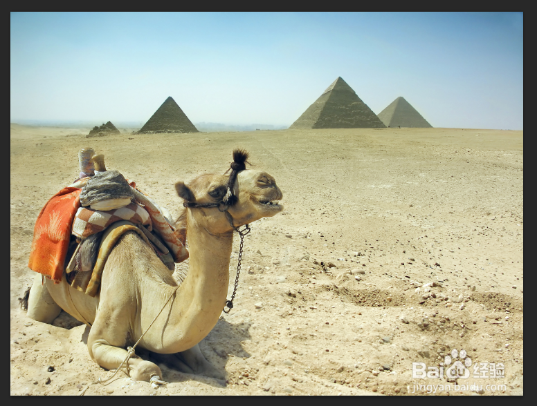 Photoshop水平翻转命令的使用