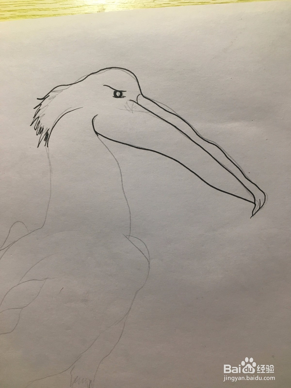 画一只长嘴巴的鸟儿 简笔画之鸟儿 儿童画 线描