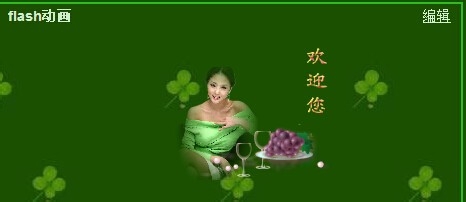怎样在网易博客首页里面添加flash