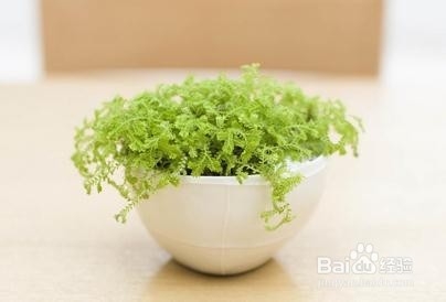 保持办公室清洁与安全的方法
