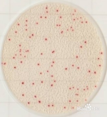 手部及工器具涂抹实验方法