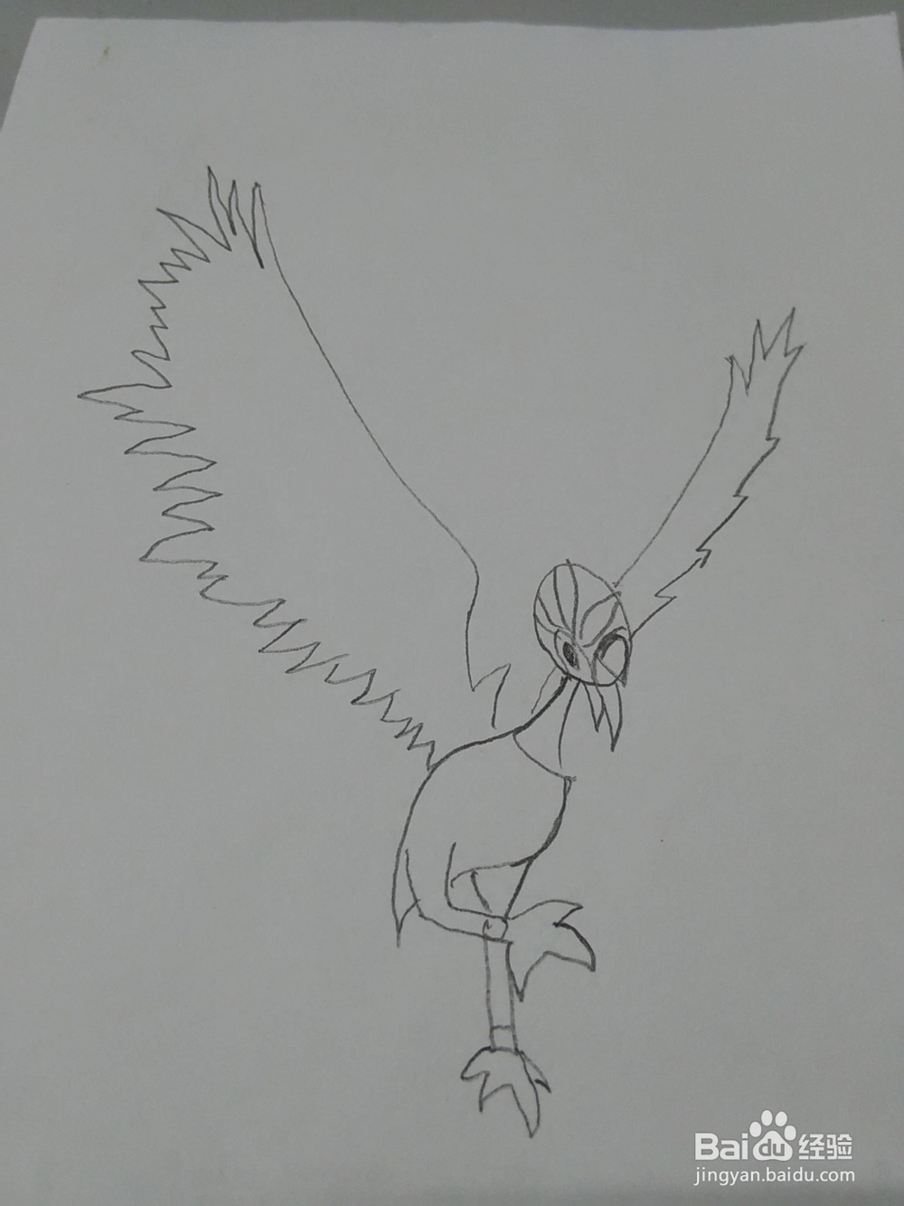 猪猪侠火焰鹤怎么画