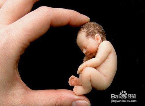 新生宝宝保险如何规划更合适?