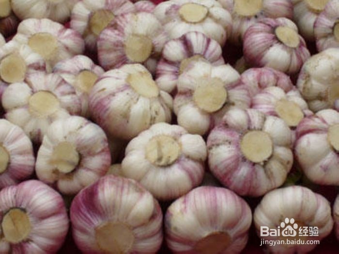 大蒜的食用禁忌