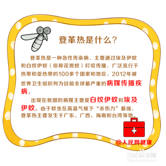 登革热的认识及防治事项
