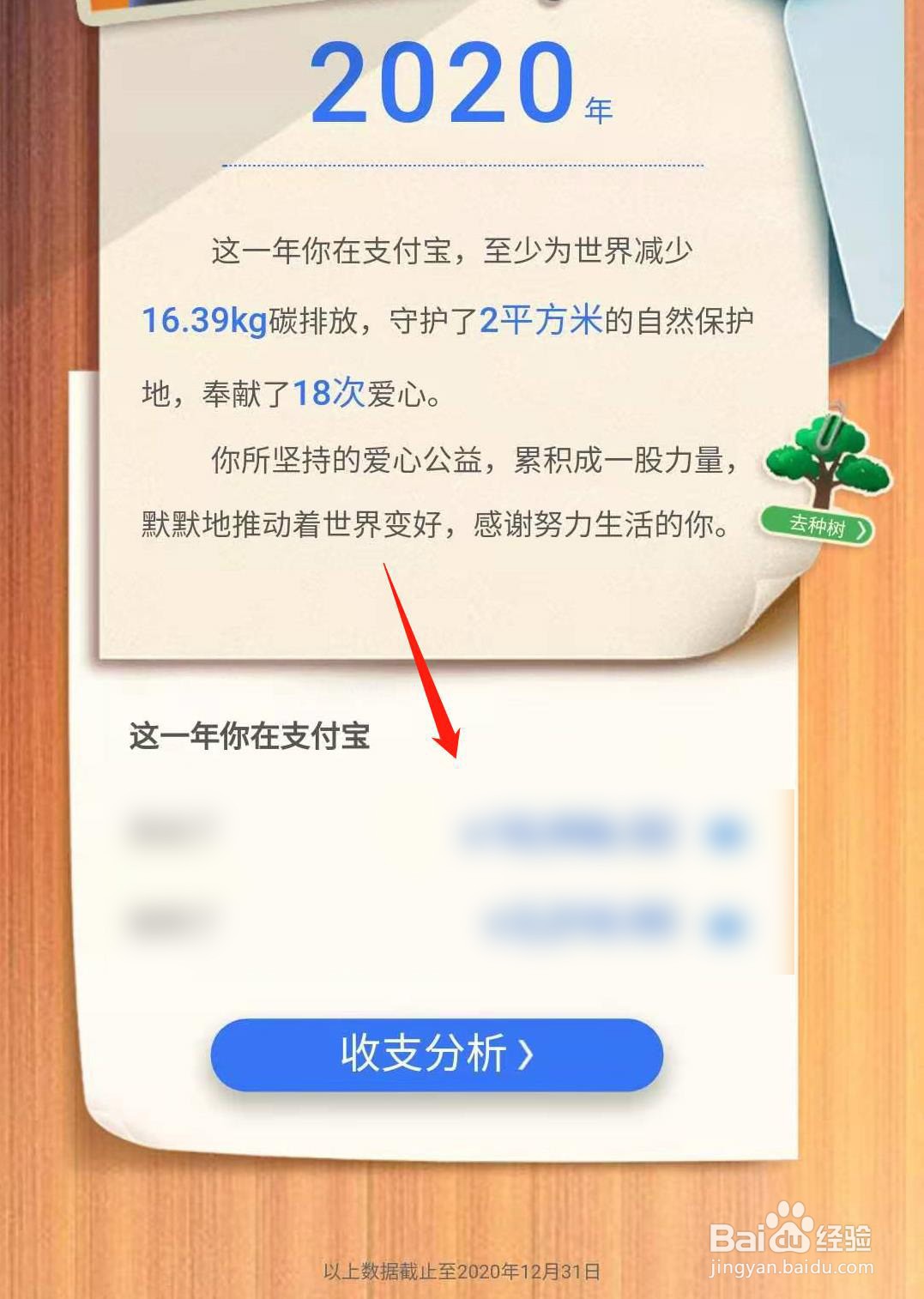 支付宝如何查询2020年年度账单