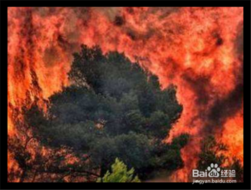 森林救火方法