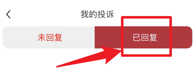 国家政务服务平台怎么查看投诉回复?