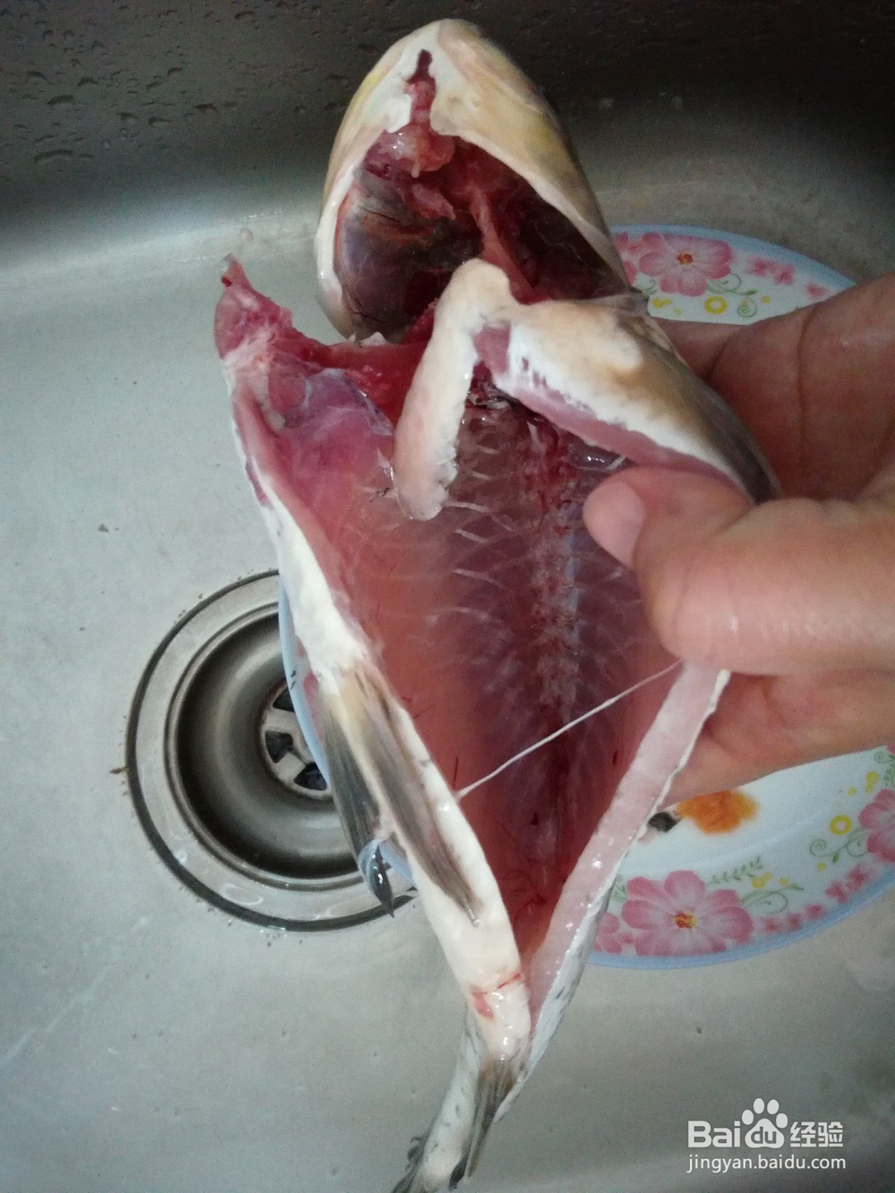 鲫鱼煲豆腐汤