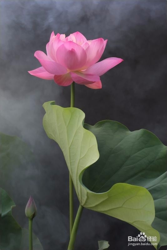 环境对人影响是否重要