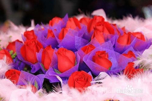 如何追到心爱的她