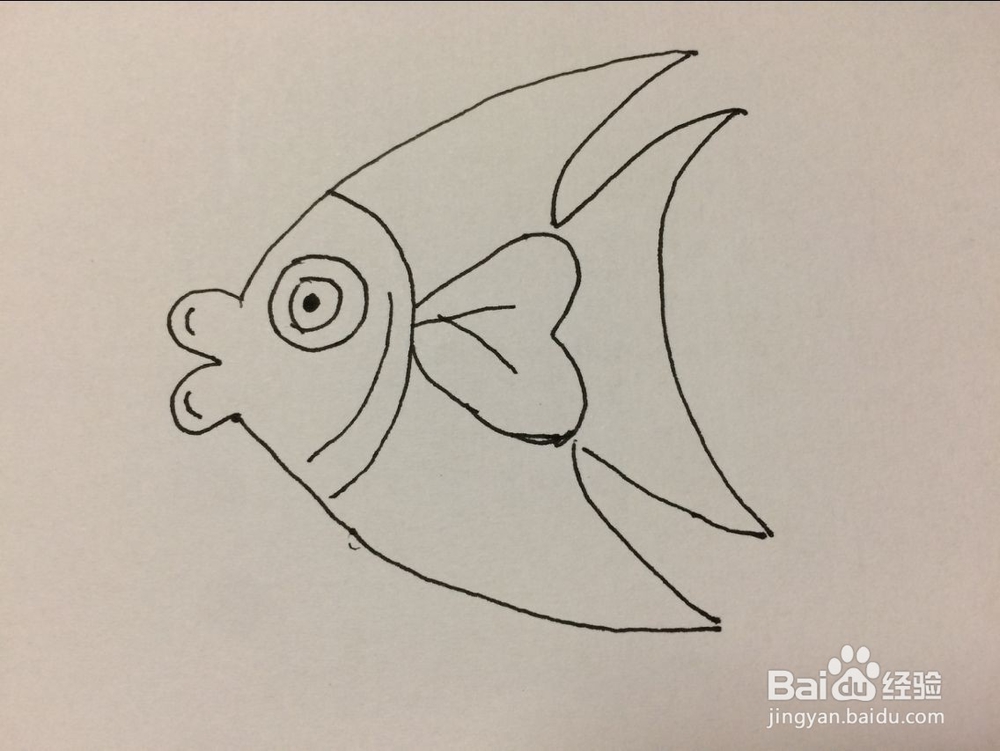 儿童热带鱼的简单画法