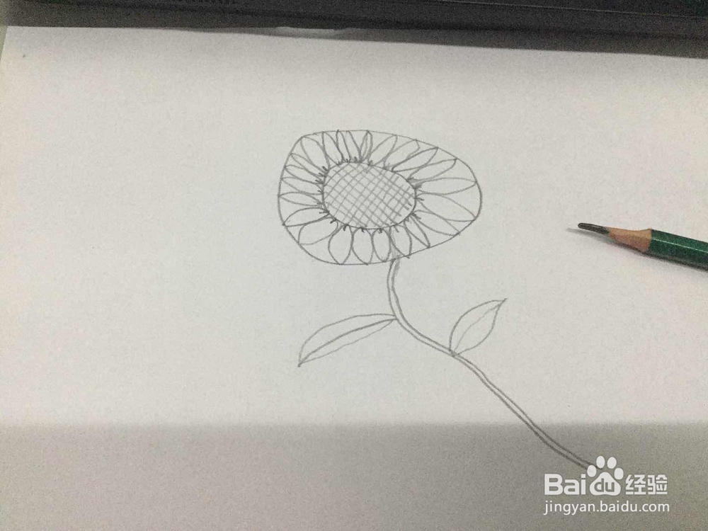 如何快速的画出向日葵