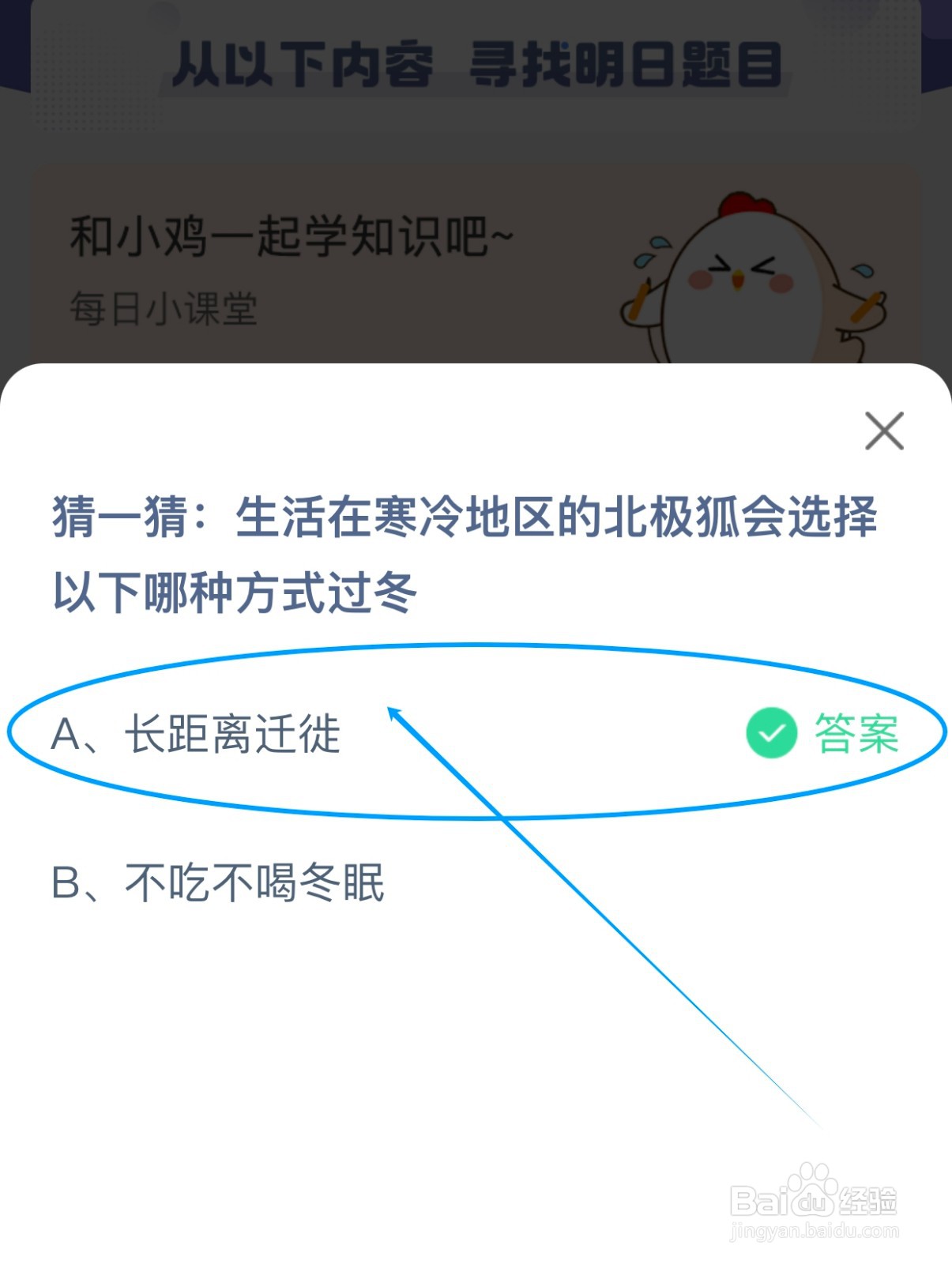 寒冷地区的北极狐如何过冬？蚂蚁庄园