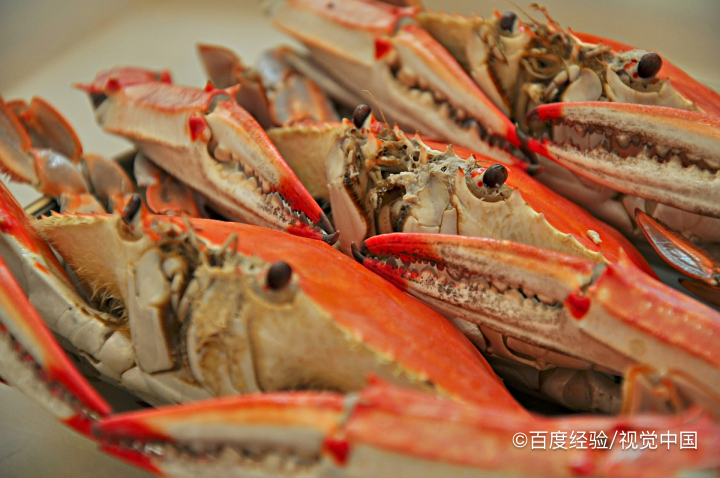 蒸活螃蟹需要注意什么？