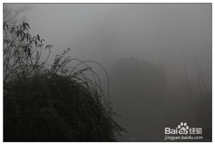 怎么对待雾霾的传言