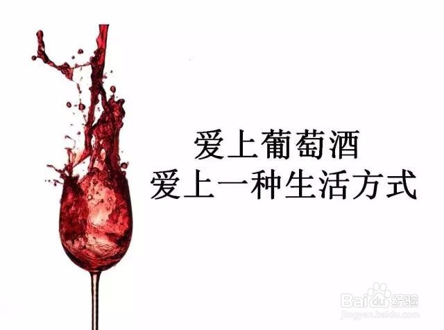 收藏葡萄酒的必备小知识