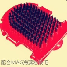 怎样正确喂养牛头梗才能让狗狗健康漂亮?