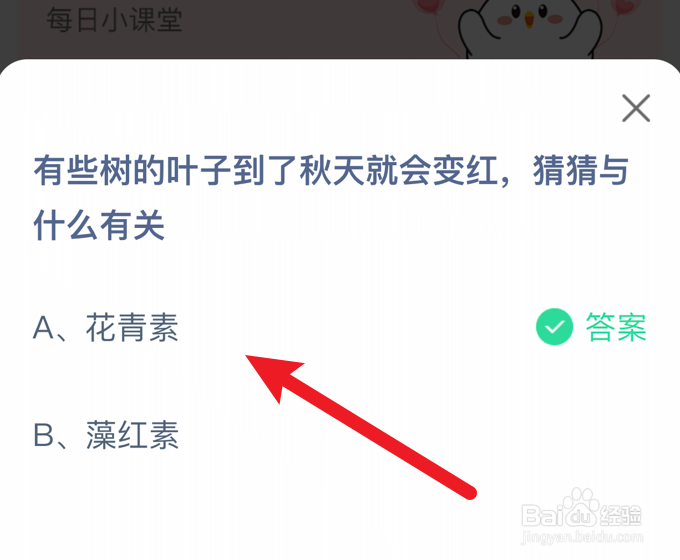有些树的叶子到了秋天就会变红?蚂蚁庄园