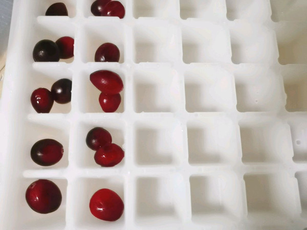 蔓越莓柠檬气泡水