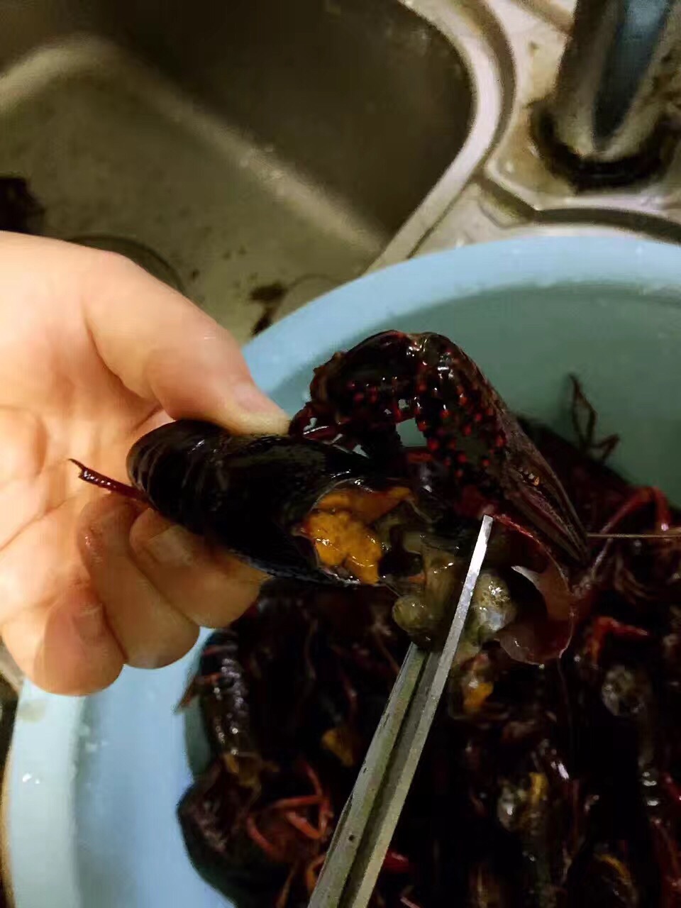 教你怎么处理小龙虾,干净又卫生