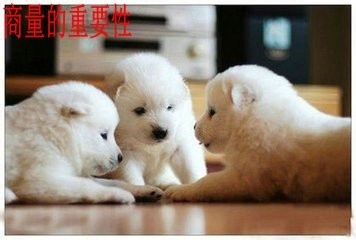 大学了,如何与舍友相处