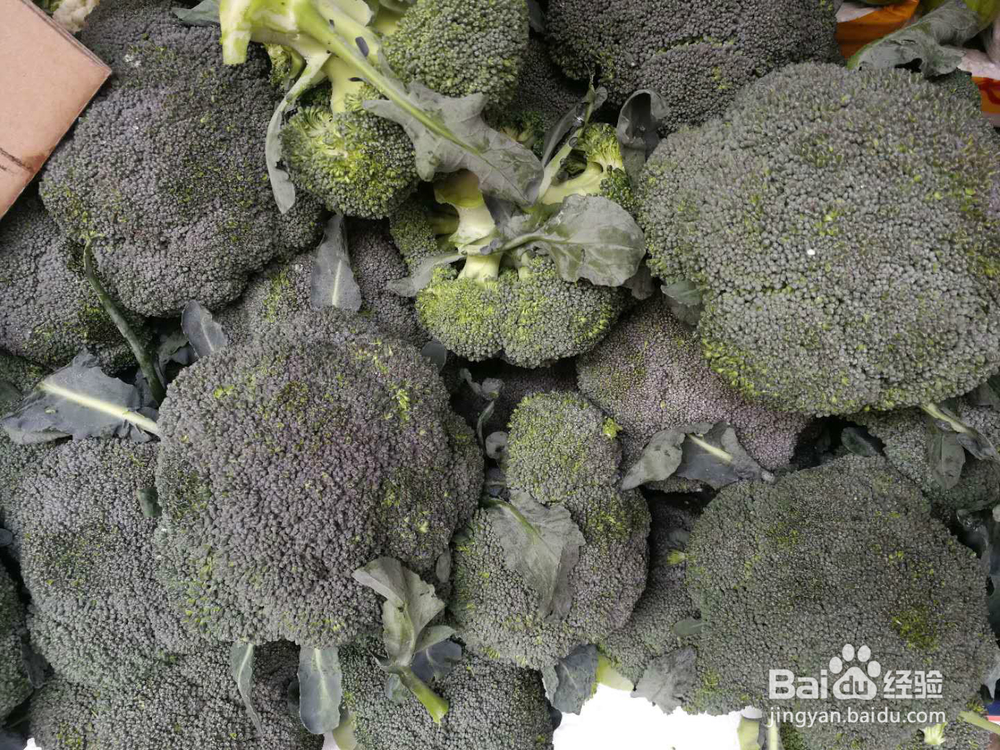 清水煮西兰花