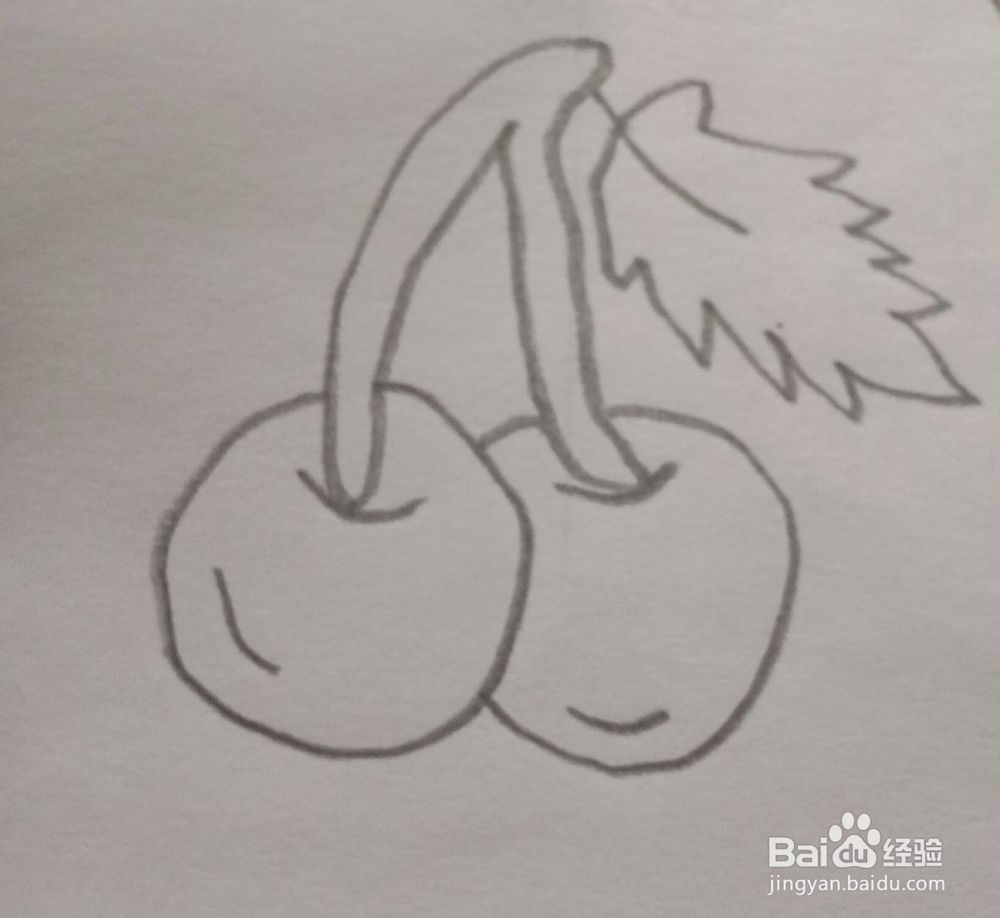 简笔画樱桃的画法5