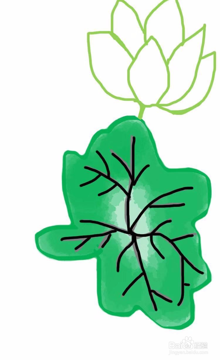 简笔画教程之荷花