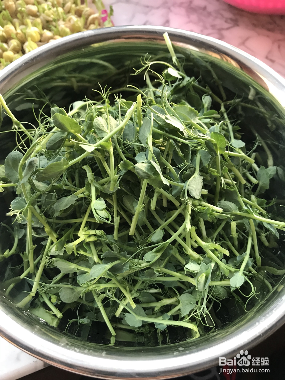 简单好吃的上汤豆苗